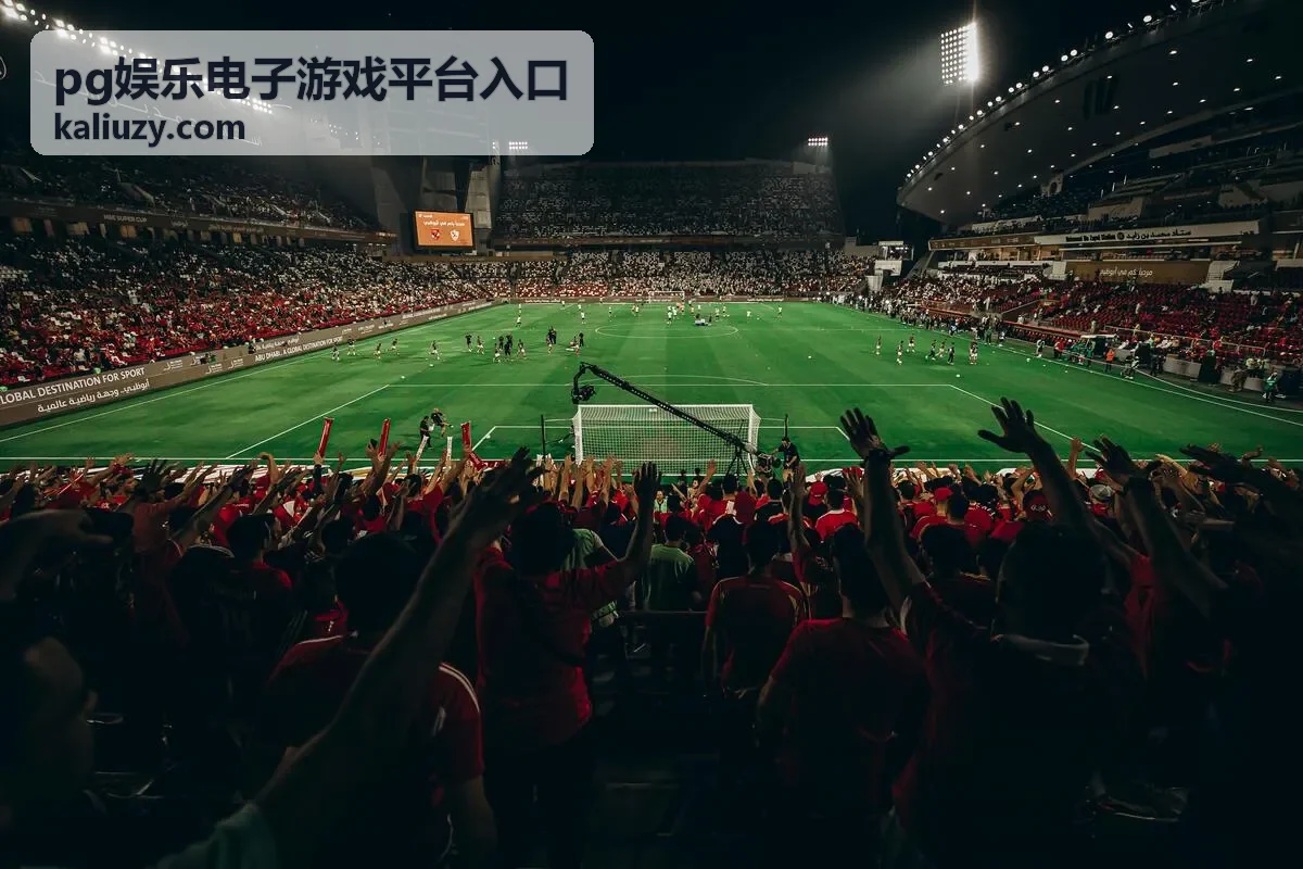 pg娱乐电子游戏平台入口 登录状态失效的常见原因